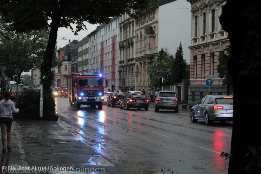IMG 8091 (2)