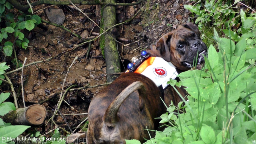 Sequenz 01.00 09 49 18.Standbild017