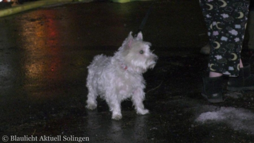Brand Wuppertal (4)