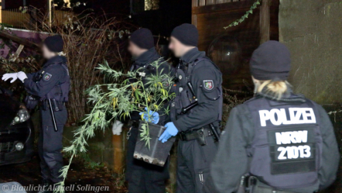 Drogenplantage Solingen-9