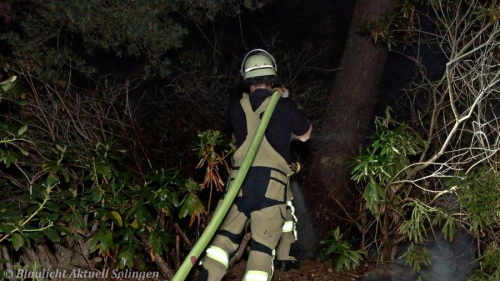 Flaechenbrand Friedhof Solingen-4