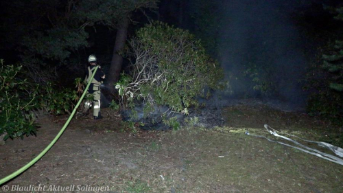 Flaechenbrand Friedhof Solingen-5