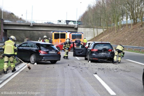 Foto UnfallVieh 06