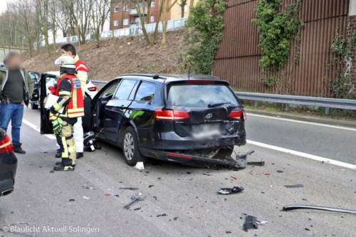 Foto UnfallVieh 08