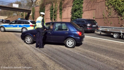 Foto UnfallVieh 10