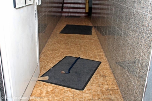 IMG 0570 (1)