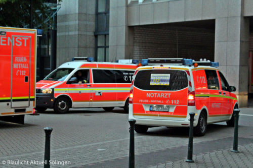 IMG 4848