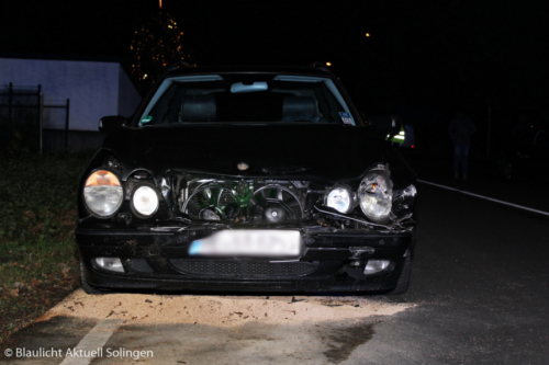 IMG 7984