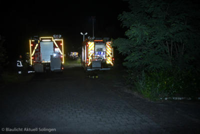 IMG 8236