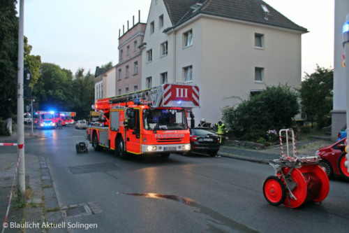 IMG 8795