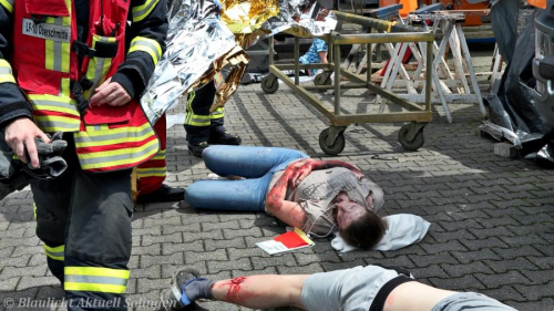 MVI 1157.00 04 19 16.Standbild024