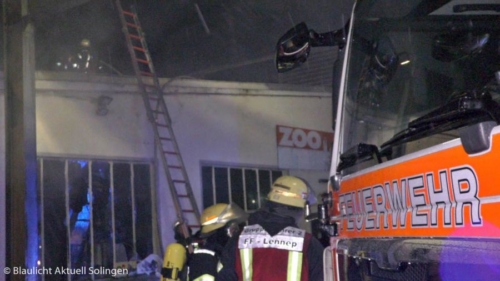 Sequenz 01.00 05 50 21.Standbild022 (1)