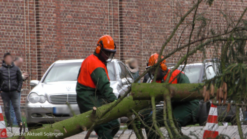 Sequenz 01.00 05 59 07.Standbild014