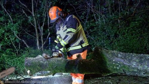 Sturm PfaffenbergerWeg Solingen-7