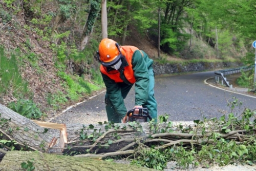 Unwetter BalkhauserWeg (1)