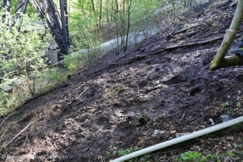 Waldbrand Brückenpark 01