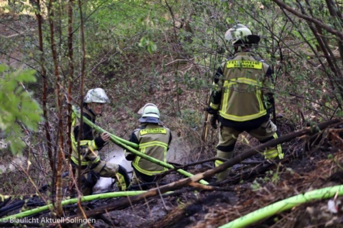 Waldbrand Brückenpark 02